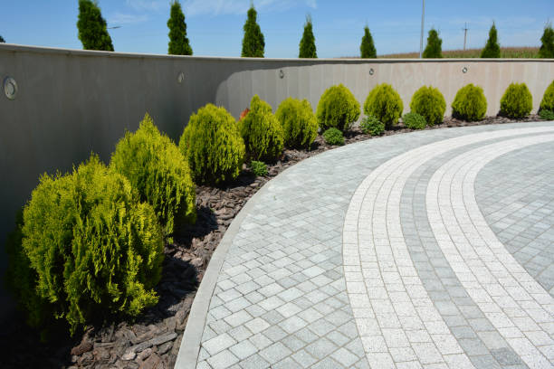 Best Driveway Pavers Near Me  in North Wilkesboro, NC